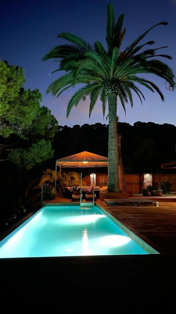 Primera Linea Piscina Jacuzzi Y Playa Privada Villa *