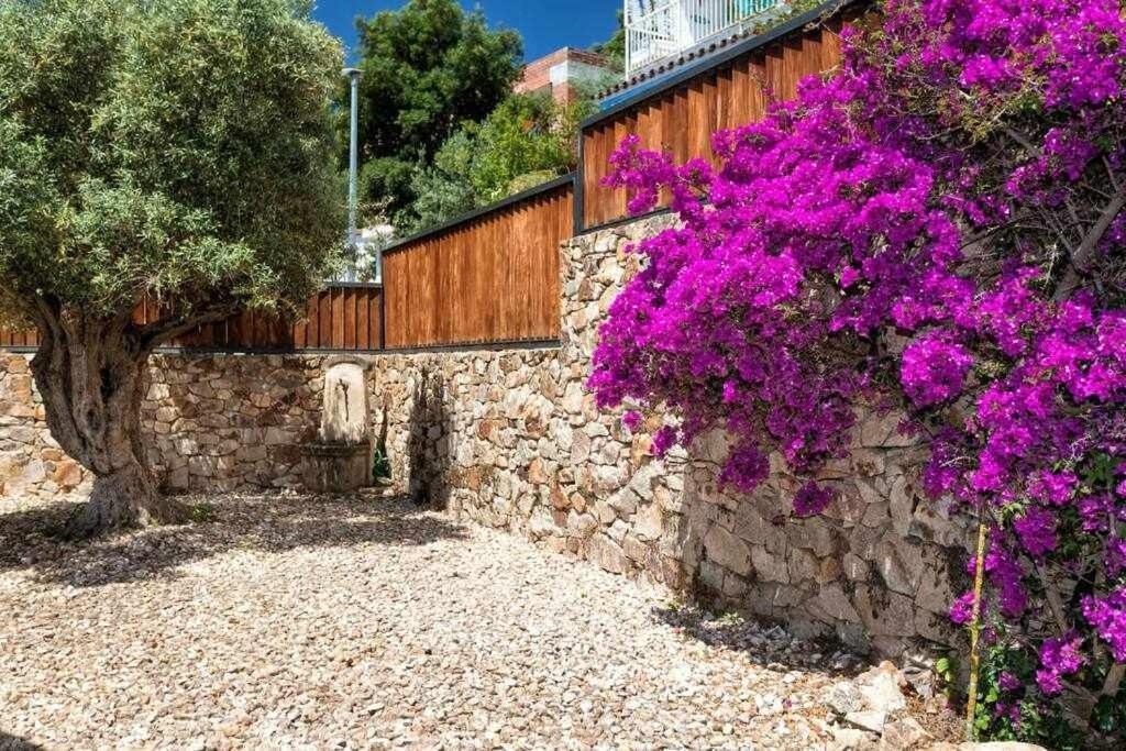 Primera Linea Piscina Jacuzzi Y Playa Privada Villa