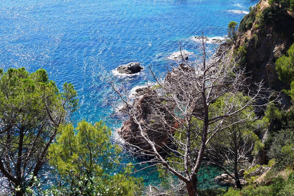 Delfin Hotel Tossa de Mar