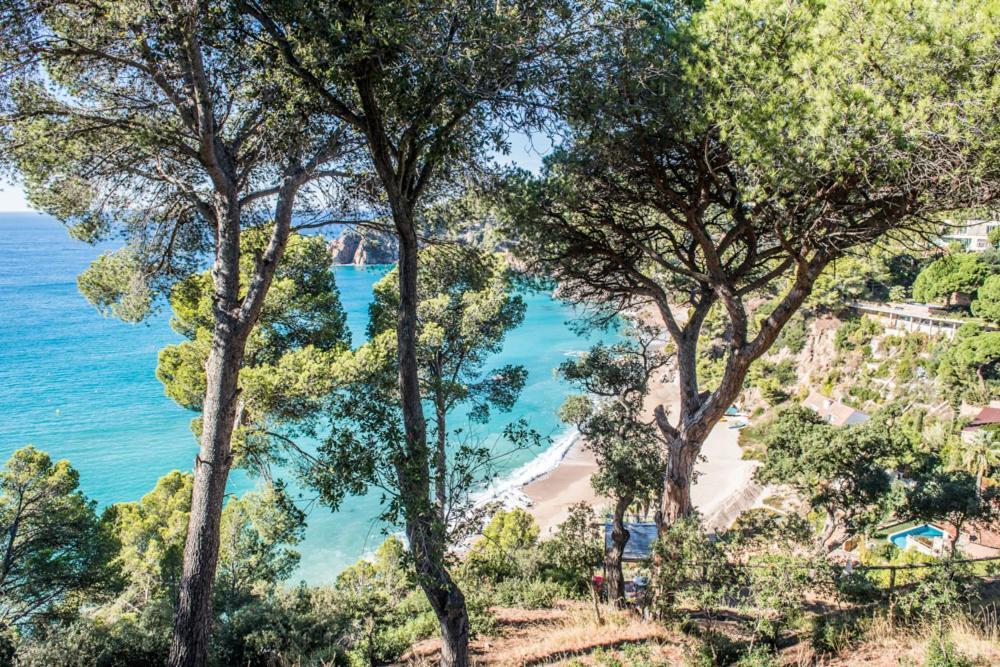 Campsite Camping Sunissim Cala Llevado 4 By Locatour Tossa de Mar